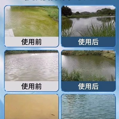 鱼缸鱼池净水剂一滴清水质清澈剂池塘变清养鱼消毒杀菌专用净化剂