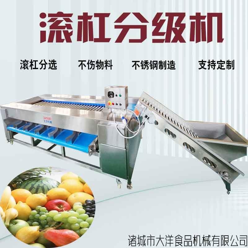 机械红薯分级机不锈钢材质高产高效率输送式果蔬分级筛选设备