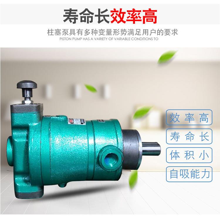 适用重庆江北机械厂HR离心机63/80/160SCY14-1BG轴向柱塞高压油泵