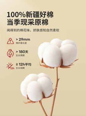 红豆棉花被子被学生宿舍单人子母被春秋冬全棉空被调芯LCU四季通