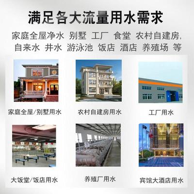 立式大流YLQ-ZY-0量屋净器农村地下过井水黄泥沙山泉水塔滤器商水