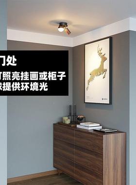 阳台过道走灯廊吸顶玄关帽衣间入户简约MJ-SCD-0性现代创意北欧个
