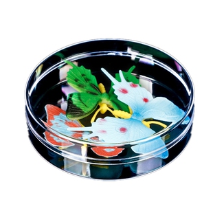 塑料圆盒展示盒样品包装盒小圆盒吧唧谷子收纳盒展示圆盒透明圆形