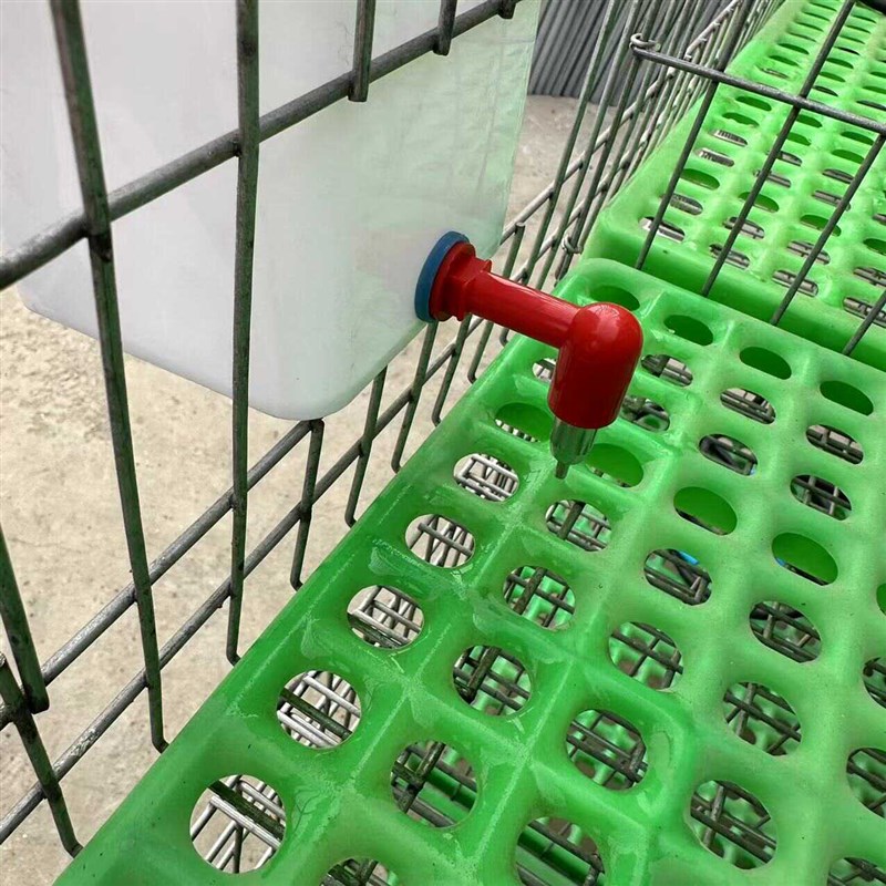 新型小鸡鸭子大鹅用自动饮水器喂水壶家禽养殖鸽子鹌鹑喝水碗神器
