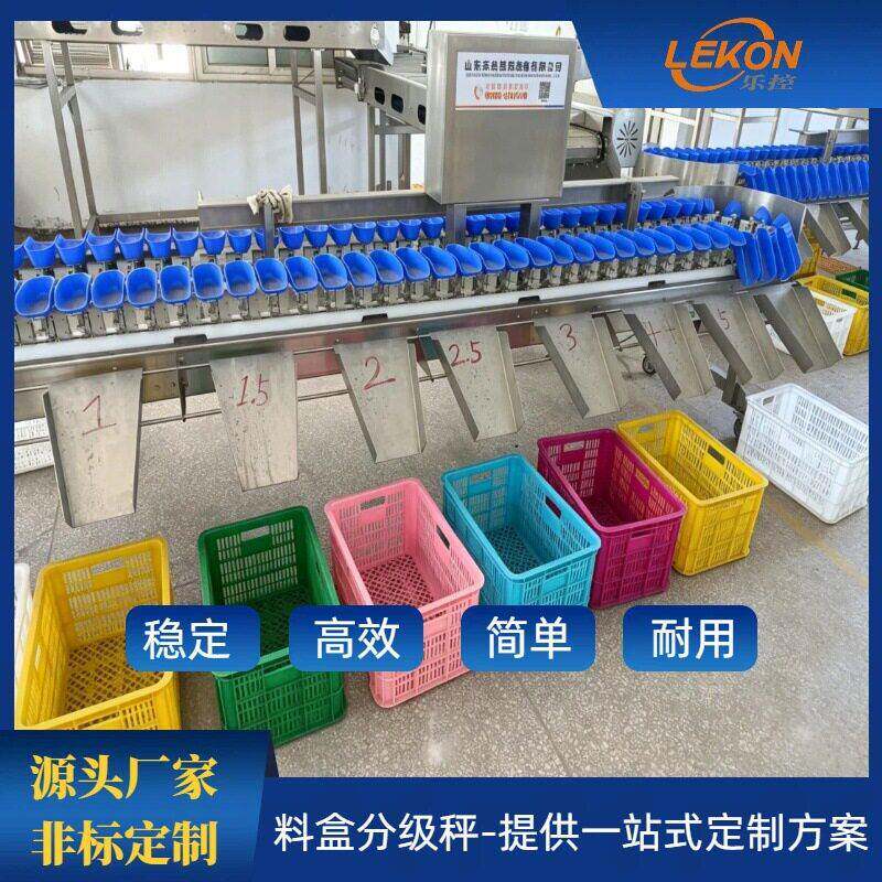 精度料盒分选秤扇贝鱿鱼甲鱼分级机水产加工厂称重分拣设备