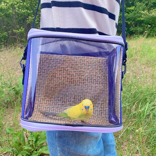 鹦鹉外出包便携鸟笼外带手提斜挎透明宠物背包虎皮牡丹玄凤遛鸟袋