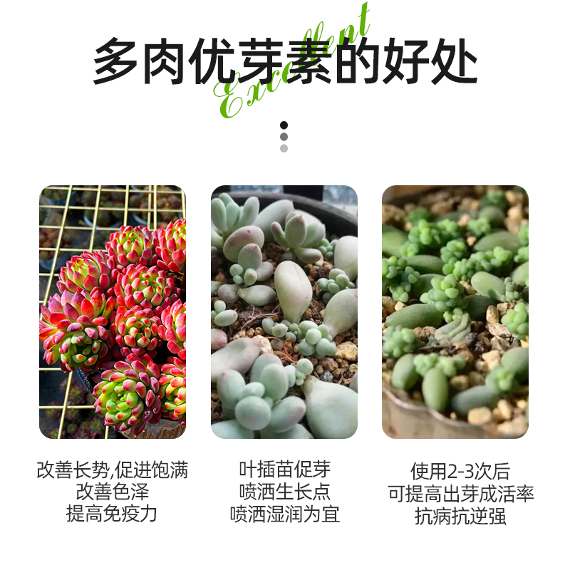 优芽素多肉专用促多头侧芽细胞分裂素促芽促生长催芽矮胖素爆芽素