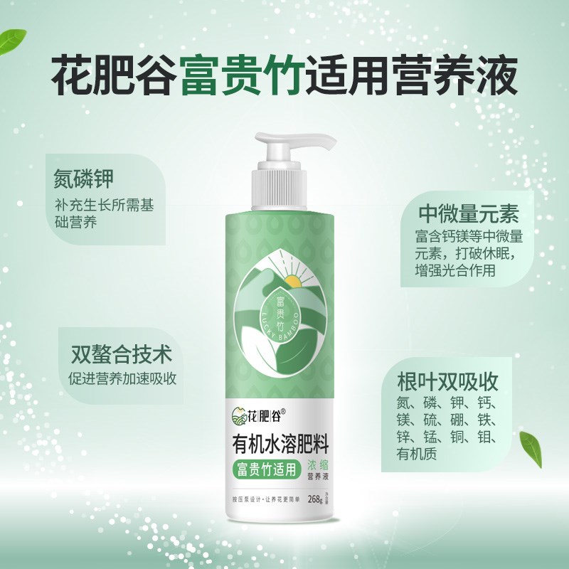花肥谷富贵竹营养液治叶子发黄干枯水培盆栽专用生根壮苗绿植肥料