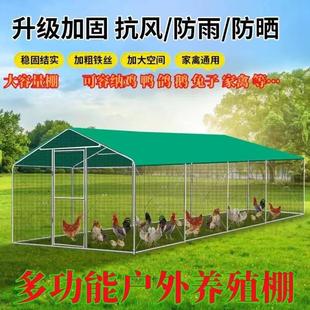 大型养殖鸡棚户外防雨棚鸡窝家禽鸡笼子防晒鸡棚鸡舍搭建家用养殖