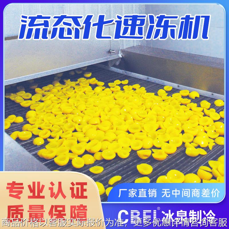 可定制板栗预冷速冻设备芒果黄桃草莓罐头流态化速冻机厂家