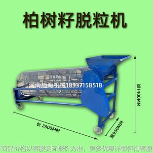 供应柏树籽脱籽机侧柏百灵塔柏种子去皮取仁机青柏籽滚筒式筛分