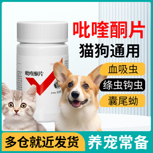 吡喹酮片宠物猫狗犬猫咪体内驱血吸虫终虫囊尾病泰迪驱虫药柯基