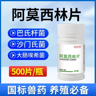 兽药阿莫西林片兽用正品鸡药宠物猫狗鸡用白痢拉稀感冒消炎片