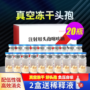 兽药头孢噻呋钠兽用注射用液正品鱼腥草真空冻干猪牛羊针剂消炎药