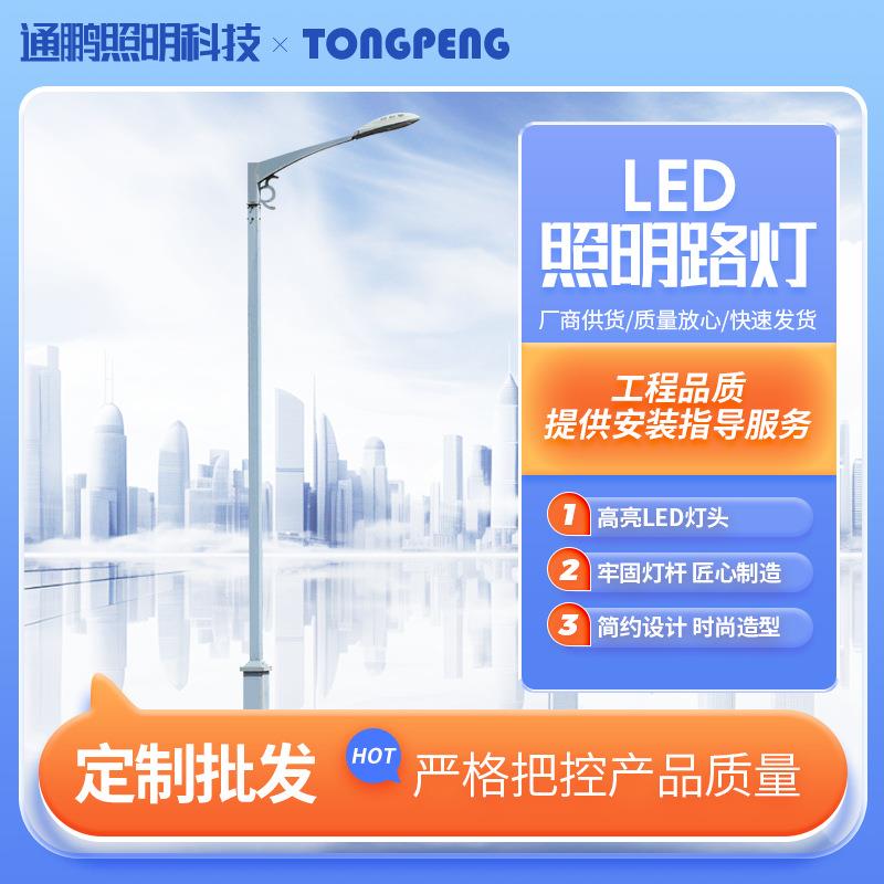 LED市电道路灯城市主干道乡村市政工程太阳能led路灯led单臂路灯