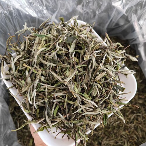 2026年散装政和白茶一级白牡丹正宗源产地高山白茶花香散茶头春