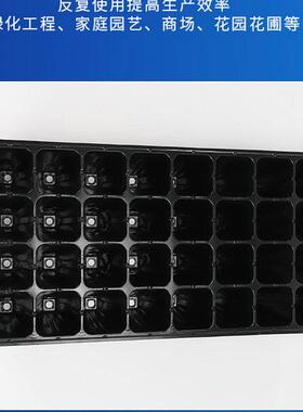 供应育苗盘穴盘托盘pvc种植花卉多肉园艺阳台菜园黑色加厚育苗盘