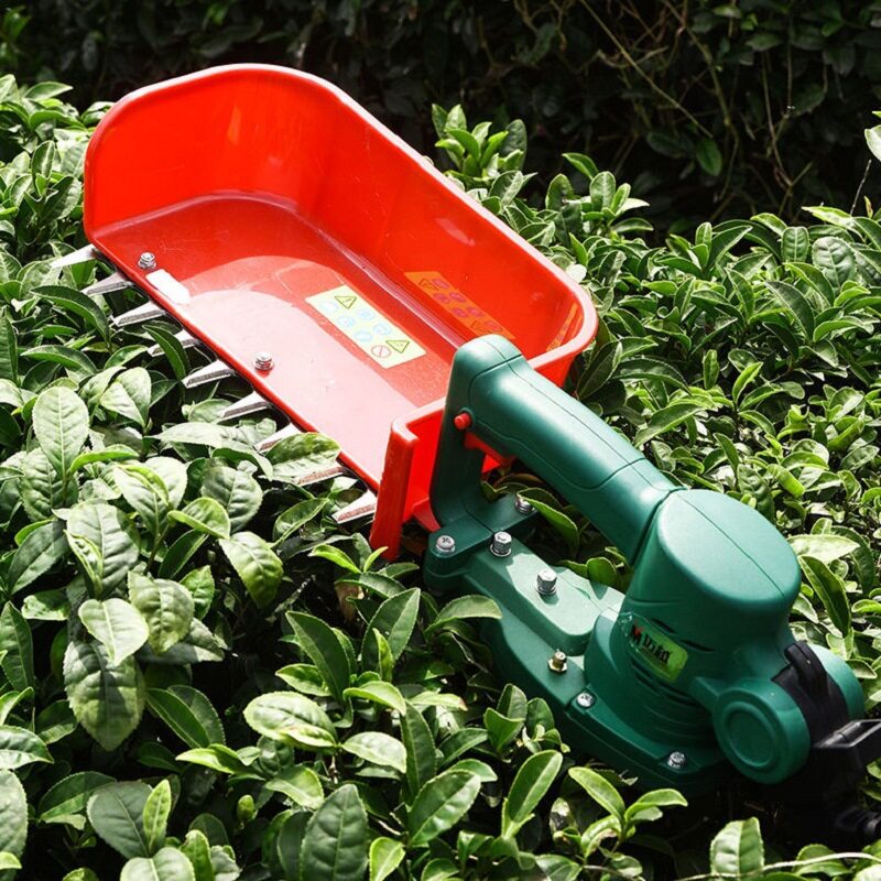 小型电动茶园用茶树修剪机升级刀片大斗锂电池采茶机背负收茶机