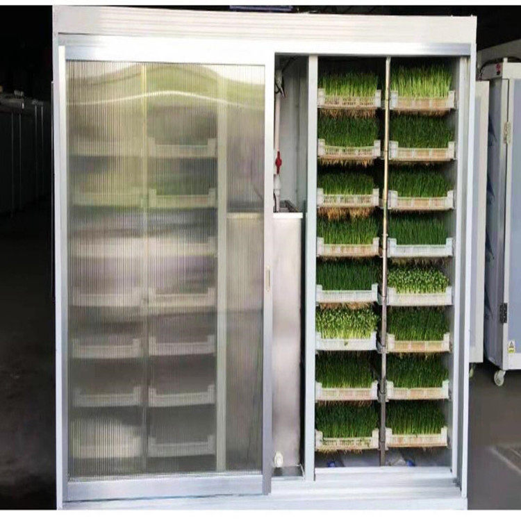 源头厂家全自动种子发芽机商用大型芽苗机牧草发芽机大麦发芽机