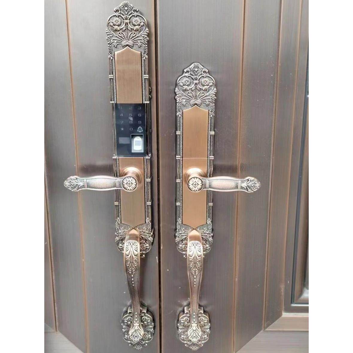 锁别门欧指纹锁双开门密码室外铜门家庭防盗门BCW智能锁电子墅式