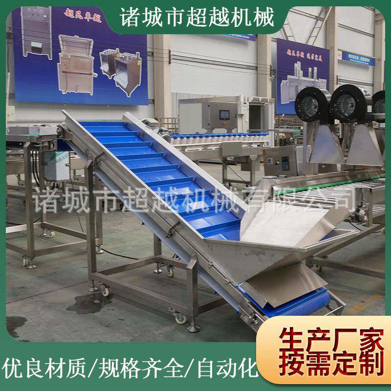 高压喷淋清洗机根茎类连续清洗线高压喷淋上下双面大姜清洗设备