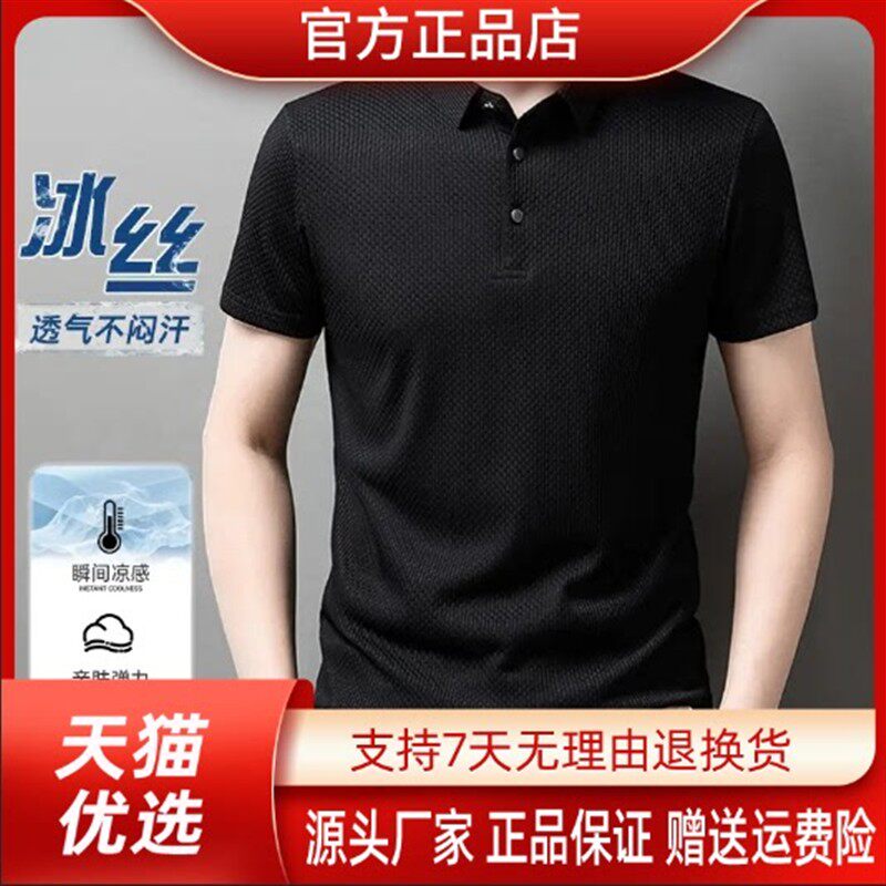 鹏然轻奢男装极简轻奢夏季新款速干男士短袖T恤休闲翻领polo衫