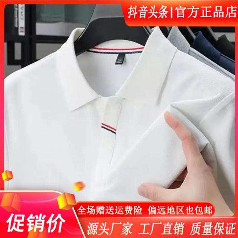 师凯服饰Amphelisia简约2026运动男士丝光棉短袖POLO上衣商务大码