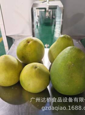 Q达桥业工型IXR柚子智能削皮机商用方动皮自化去皮机柚D皮糖生产