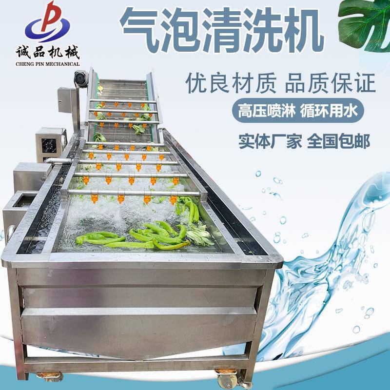 全自动苹果气泡清洗机商用柑橘橙子清洗设备高压喷淋果蔬清洗机