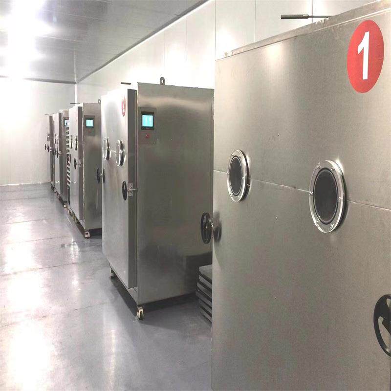 宠物零食冻干设备果蔬真空干燥机商用大型真空冻干机