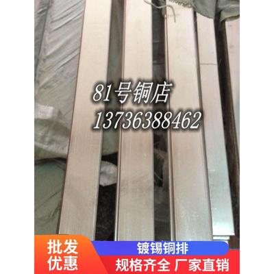 铜母排 紫铜排 TMY 镀锡铜排 接地排 机房 电箱专用铜排 可定做