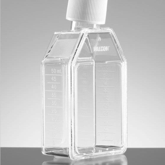 Falcon 75cm2 矩形斜颈细胞培养瓶，带通风帽 货号353136 5个/盒