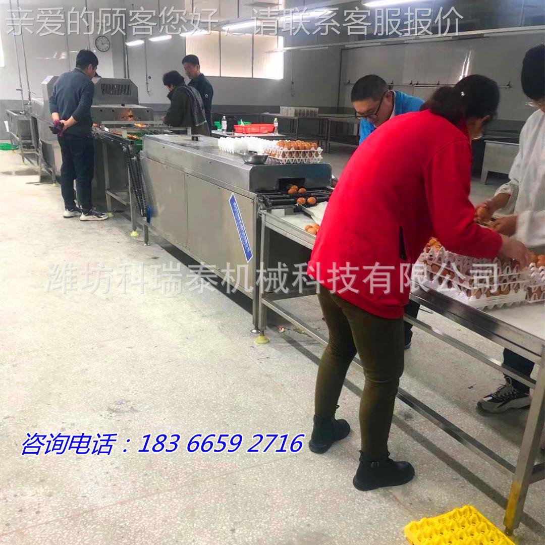 排双排线鸭蛋清洗线 单泥蛋洗蛋SVC机 超市清洁蛋加工生黄产生产
