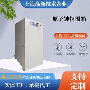 原子钟试验箱恒温恒湿箱支持非标定 制的厂 家