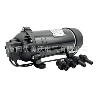 DP-160M交流高压隔膜泵 220V隔膜泵 singflo高压水泵、singflo泵