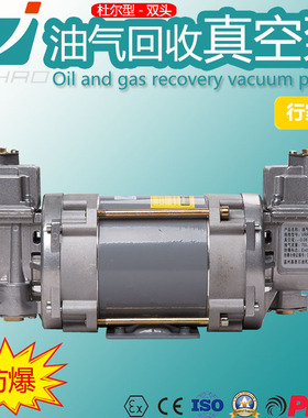 嘉豪JH-VRP70油汽回收泵 液化气二次油气回收真空泵 双头电动油泵