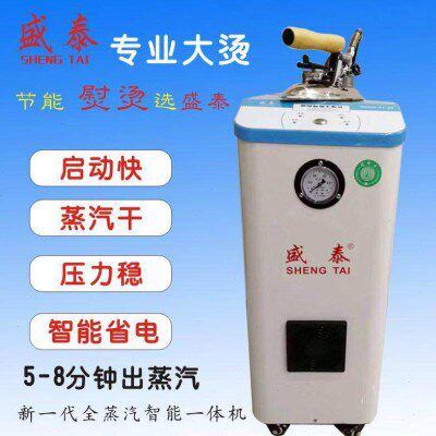 盛泰超级省电王9N-4千瓦自动加水工业两用电烫斗 电加热蒸汽锅炉