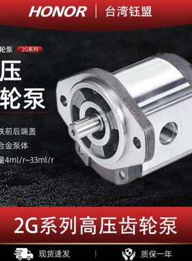 2GG1B30R台湾钰盟HONOR齿轮泵2GG1B28R/24R/22R/20R/18R/16R/11R