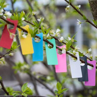 西瓜标记牌植物标签牌记号牌1万张葡萄插牌瓜果授粉防水塑料标签