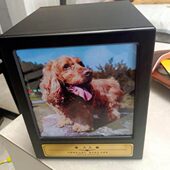 宠物骨灰盒定制刻字大中型猫狗火化去世火葬殡葬棺材丧葬祭祀