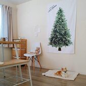 饰挂布宿舍卧室竖版 美国订单 节日气氛墙上装 圣诞树背景布 许愿款