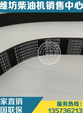 原装8PK1290多楔带611600060024皮带潍柴发动机WP9H WP10H柴油机