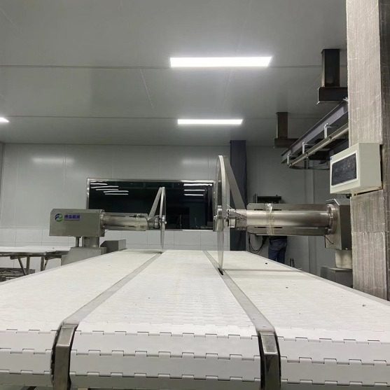 猪肉分割中央厨房用生猪屠宰线分割流水线低速锯猪肉胴体分割线,搬运/仓储/物流设备,输送机,淘宝优惠券,粉丝福利购,淘宝优惠卷