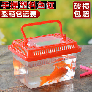 爬虫饲养宠物盒 大中小号塑料乌龟缸金鱼缸 手提透明运输盒龟盒