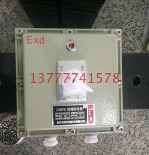 40A防爆开关箱配电箱照明箱控制箱 32A 经济型防爆断路器10A 20A