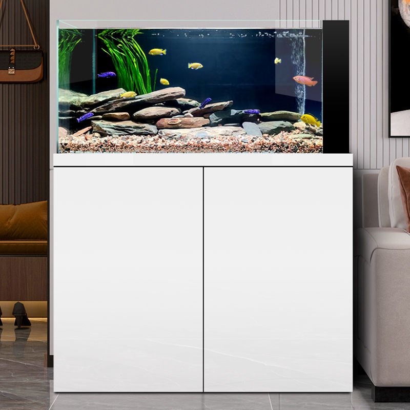 上门鱼缸清洗溪流造景养护换水护理订做鱼缸配件维修过滤材料更换