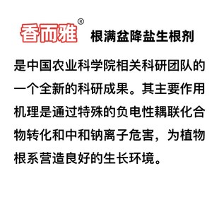香而雅根满盆 降盐生根 调酸 喜酸花卉 绿植盆栽 农用