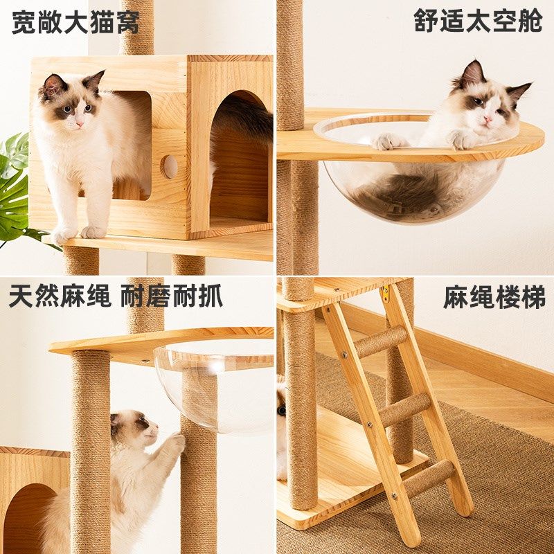 猫爬架猫窝猫树一体实木猫架子跳台小型大型抓柱太空舱猫咪用品全,宠物/宠物食品及用品,猫爬架,淘宝优惠券,粉丝福利购,淘宝优惠卷