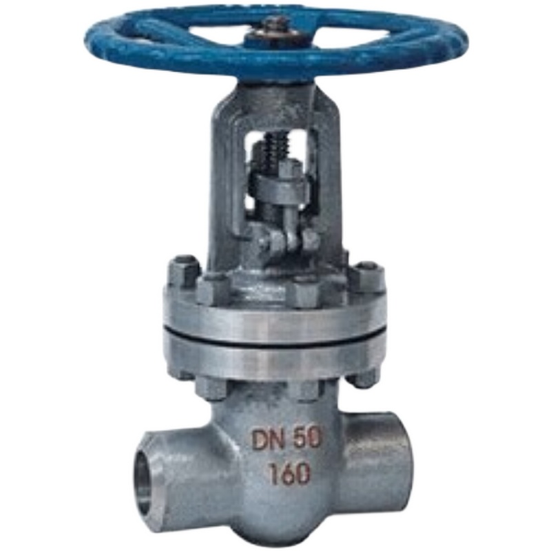 Z61HZ61YZ61W 型 PN100~PN160 承插焊楔式闸阀