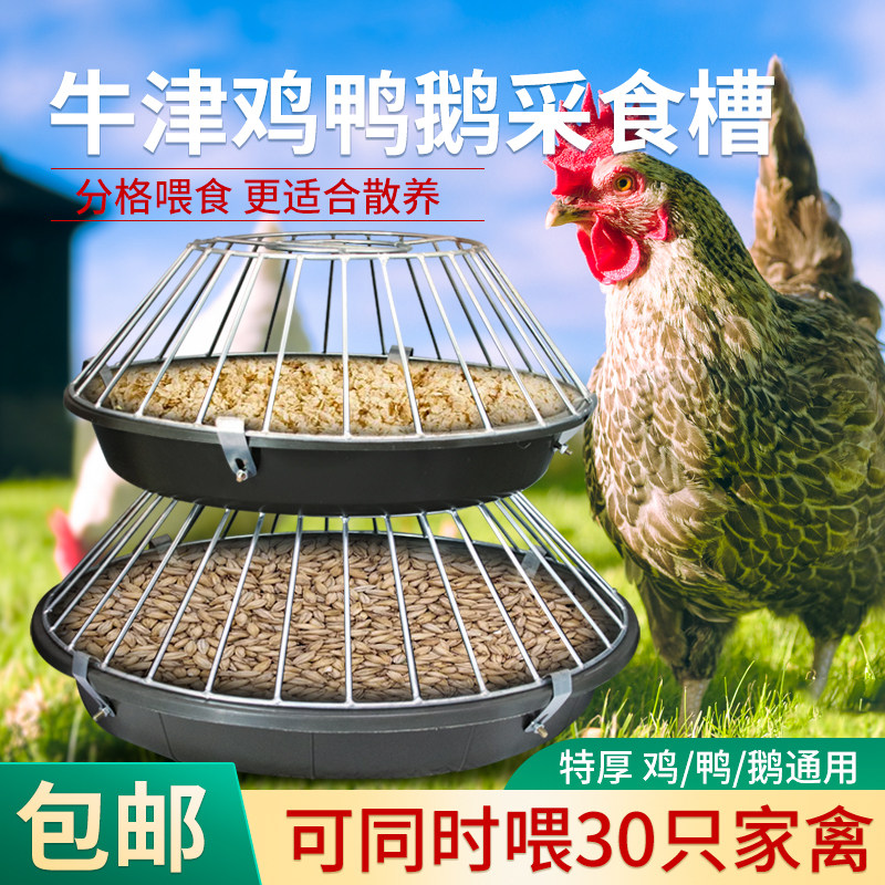 牧多多喂鸡食槽养殖场喂料槽牛筋喂料器料盆家禽鸡料槽鸡鸭鹅喂食,畜牧/养殖物资,畜牧/养殖器械,淘宝优惠券,粉丝福利购,淘宝优惠卷